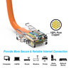 Bestlink Netware CAT6 UTP Ethernet Network Non Booted Cable- 75ft Orange 100113OR